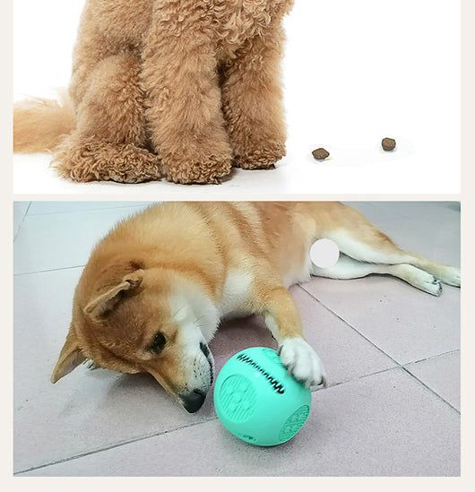 Pelota Interactiva para Perros y Gatos - Juguete Dispensador de Comida con Silicona Segura - Image 8
