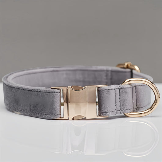 Collar y Correa para Perro Verde Menta - Image 8
