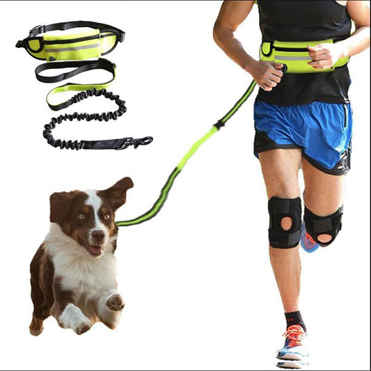 Red hands-free dog leash set with a waist belt, zippered phone pocket, and a black shock-absorbing bungee leash.