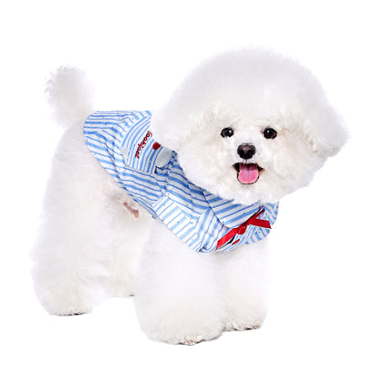 Playera Fresca para Schnauzer - Diseño Adorable para Verano - Image 3