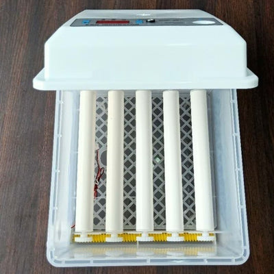 Incubadora Inteligente Automática para el Hogar - Image 17