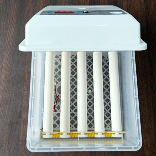 Incubadora Inteligente Automática para el Hogar - Image 17