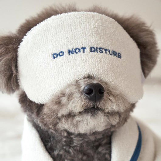 Bata de Baño para Mascotas con Diseño Hotel Chic - Pijama Fotográfico - Image 17