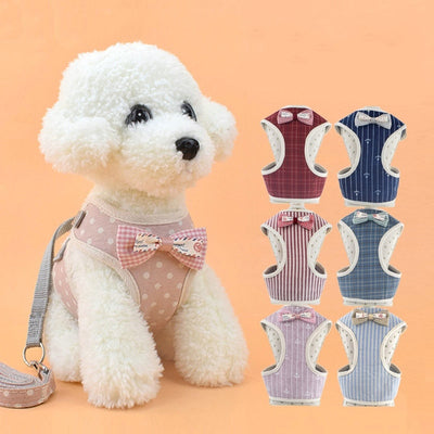 Arnés de Pecho para Perros y Gatos - Image 5