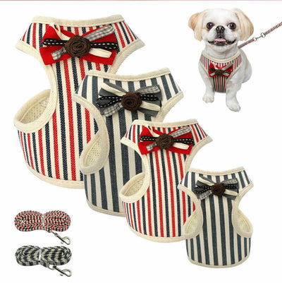 Chaleco Transpirable para Perros - Diseño Cómodo y Elegante - Image 19