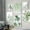 Lámina Decorativa Hoja Monstera Acuarela Verde
