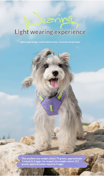 Arnés Multiusos Impermeable de Secado Rápido para Perros - Image 12