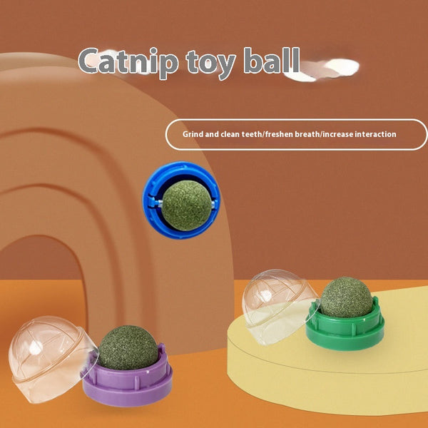 Juguete Interactivo de Menta Gatuna con Limpieza Dental para Gatos