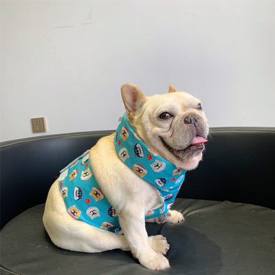 Collar Refrescante para Perros - Tecnología de Enfriamiento para Verano - Image 19