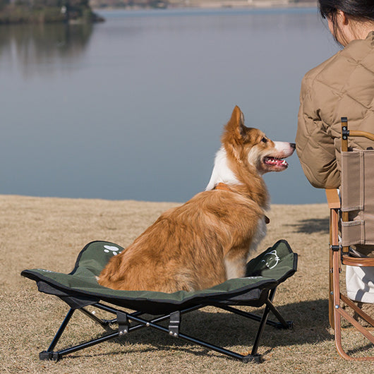 Cama Plegable para Mascotas con Diseño Desmontable y Lavable - Image 10