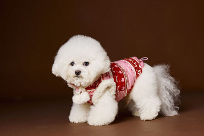 Chaleco Fair Isle para Mascotas Schnauzer Bichon Teddy - Image 19