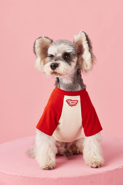 Ropa de Verano para Perros con Contraste de Colores - Image 33