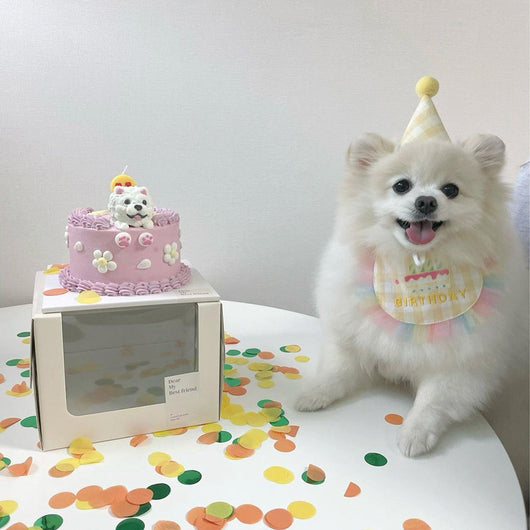 Babero Fiesta Cumpleaños para Perros - Toalla Absorbente Saliva - Image 3