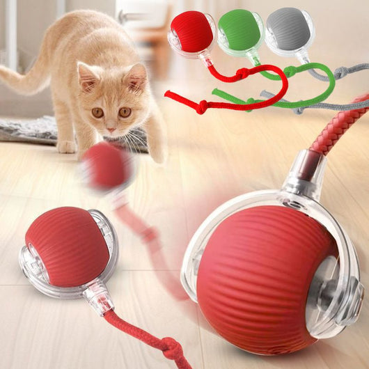 Blue and clear interactive cat ball toy with a rope, shown with three playful cats in the background. - Image 17