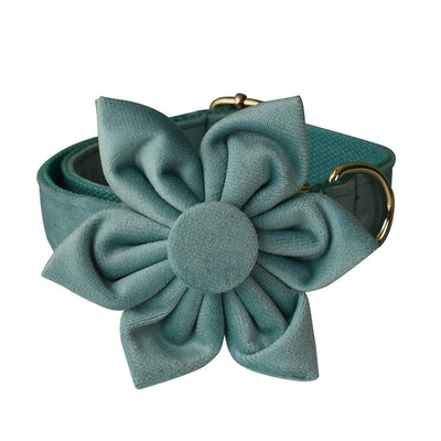 Collar de Perro Franela Verde Lago con Herraje Dorado - Image 6