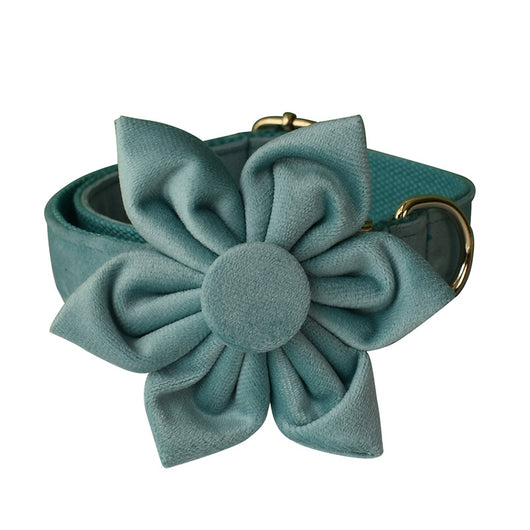Collar de Perro Franela Verde Lago con Herraje Dorado - Image 6