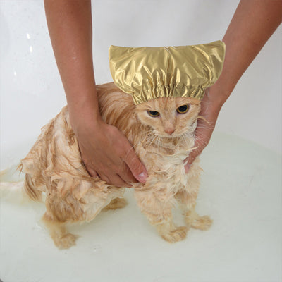 Gorro de Baño Impermeable Ajustable para Perros y Gatos - Image 8