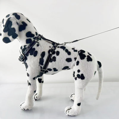 Arnés de Cuero con Tachuelas para Perros Pequeños - Chaleco Protector Negro - Image 7