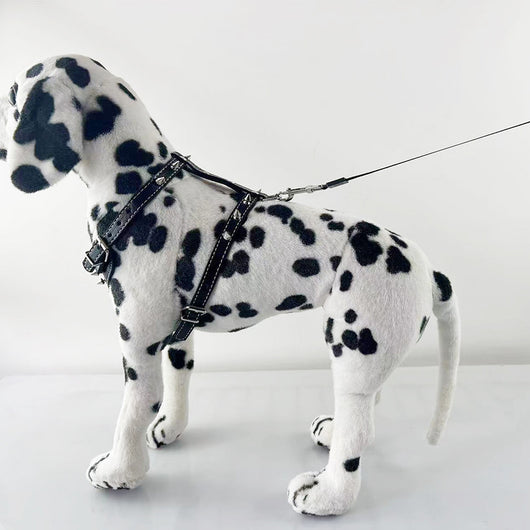 Arnés de Cuero con Tachuelas para Perros Pequeños - Chaleco Protector Negro - Image 7