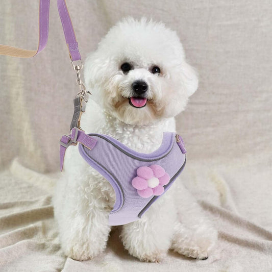 Arnés Chaleco Transpirable para Perros Pequeños, Medianos y Grandes con Cierre Rápido - Image 2