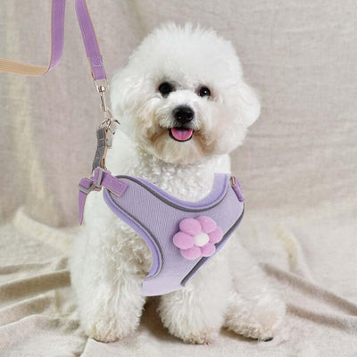 Arnés Chaleco Transpirable para Perros Pequeños, Medianos y Grandes con Cierre Rápido - Image 2