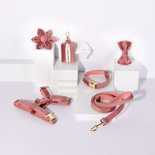 Conjunto de Collar y Correa de Terciopelo Suave para Mascotas - Image 15