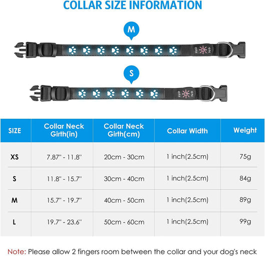 Collar LED Luminoso 7 Colores para Perros y Gatos con Carga USB - Image 9