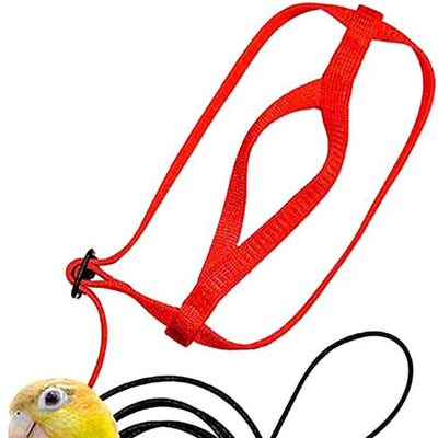 Red bird harness with a black leash shown on a yellow and green parrot. - Image 10