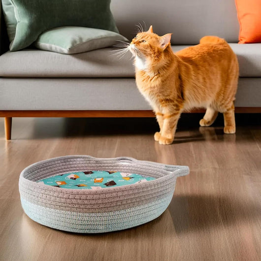 Cama Redonda de Mimbre para Gatos - Nido Donut Refrescante y Lavable - Image 12