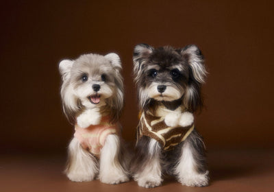 Suéter Acogedor de Galleta Felt para Mascotas - Otoño e Invierno - Image 18