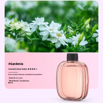 Aceites Esenciales Compatibles con Difusor Aroma V01pro - Image 10