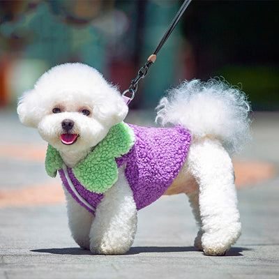 Ropa Térmica para Mascotas Estilo Coreano con Encaje de Hoja de Loto - Image 11