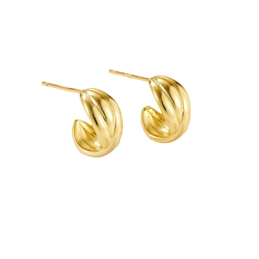Aretes Coreanos Diseño Nicho Anillo Irregular - Image 5