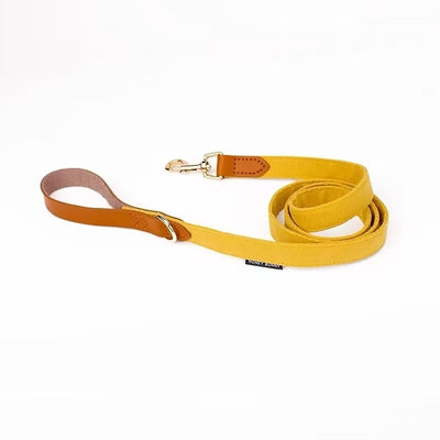 Collar de Cuero para Perro con Letras y Moño - Correa de Mano - Image 15