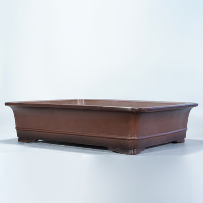 Maceta Rectangular de Arcilla Púrpura Artesanal para Bonsái Verde - Image 4