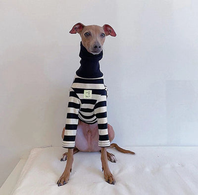 Suéter Rayas Cuello Alto Algodón Stretch para Perros - Image 8