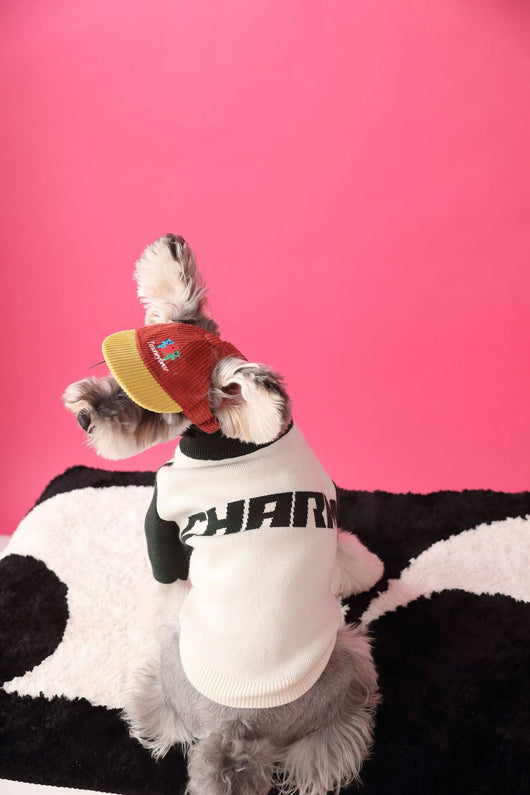 Suéter Deportivo para Perros - Cardigan Cómodo para Mascotas - Image 15