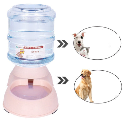 Bebedero Automático para Perros - Image 8