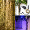 Guirnalda de Luces LED con Cable de Cobre