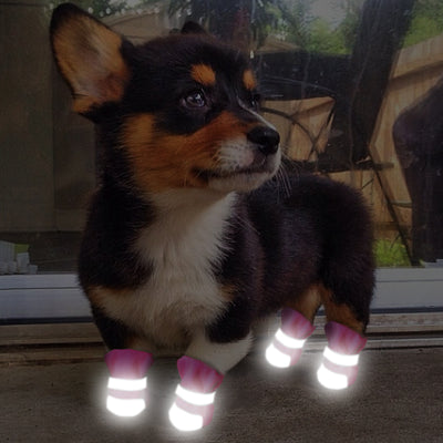 Zapatos Cómodos y Transpirables para Mascotas - Image 28