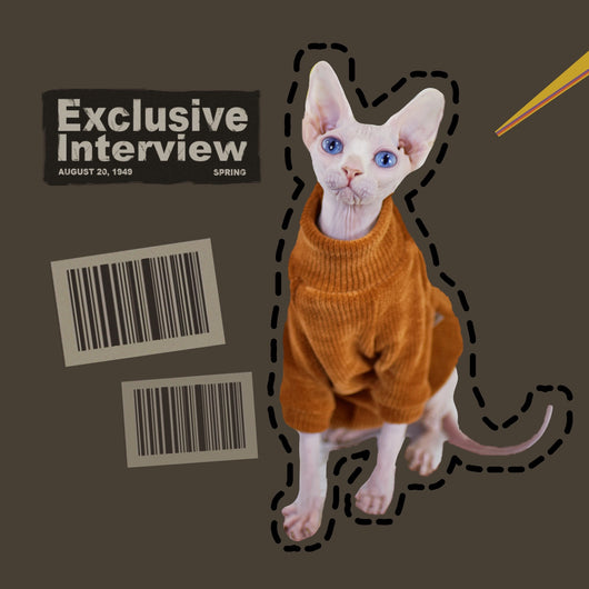 Abrigo Térmico para Gatos sin Pelo - Protección Invernal Reforzada - Image 2