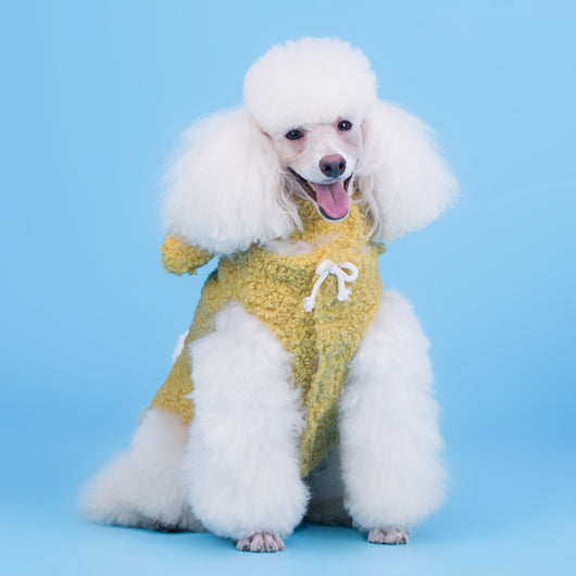 Pijama Deportivo para Perros Cubs - Diseño de Dos Patas - Image 9