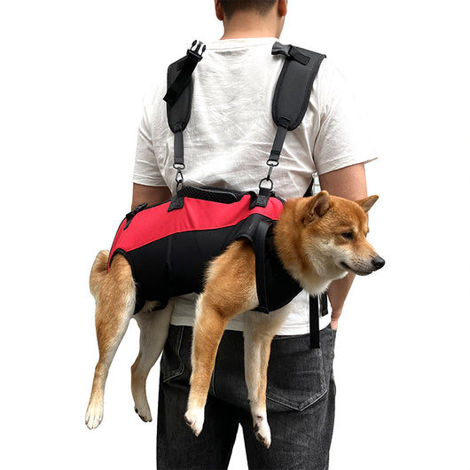 Mochila Transportadora Aérea para Mascotas - Paseos y Aventuras - Image 4