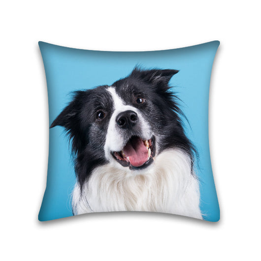 Funda de Almohada para Sofá de Mascota Piel de Durazno Cute Home - Image 20