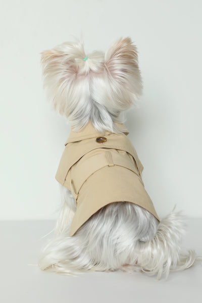 Abrigo Impermeable Británico para Perros - Ropa de Verano - Image 10