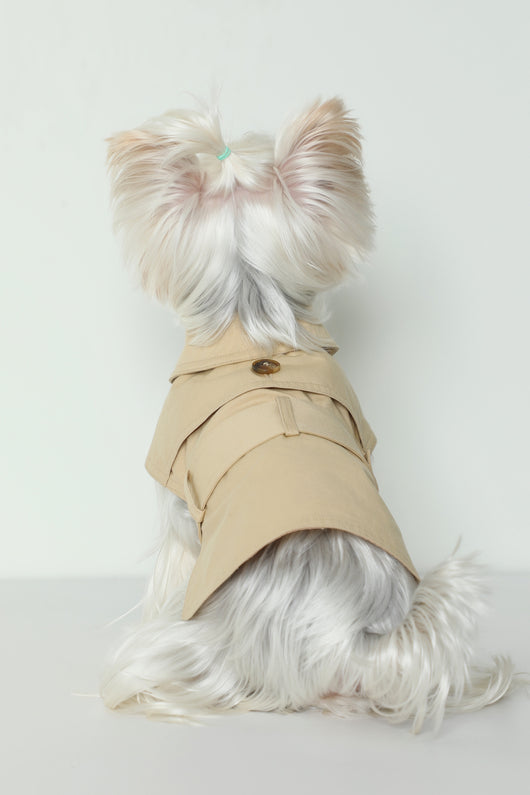 Abrigo Impermeable Británico para Perros - Ropa de Verano - Image 10