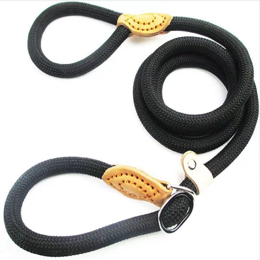 Cuerda de Entrenamiento para Pasear Perros con Agarre Manual - Image 25
