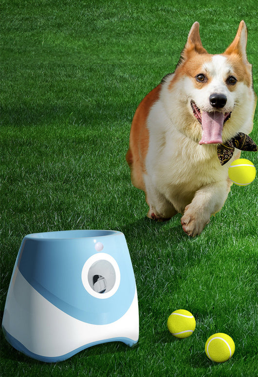 Two automatic dog ball throwers, one yellow and white, one green and white, on a wooden desk. - Image 10