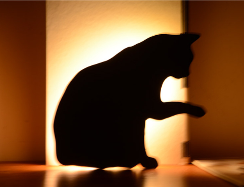 Lámpara Nocturna LED Inteligente con Sensor de Sonido - Diseño Animales para Niños - Image 4