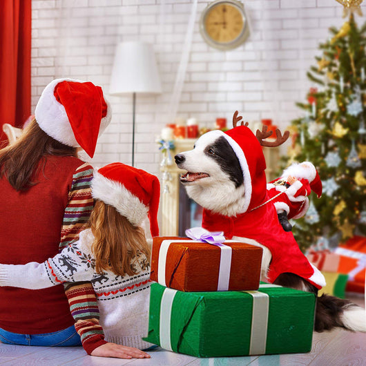 Disfraz Navideño para Perros - Papá Noel en Trineo - Image 6